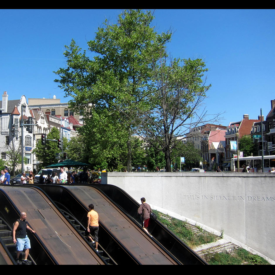 Where Have All the Flowers Gone?