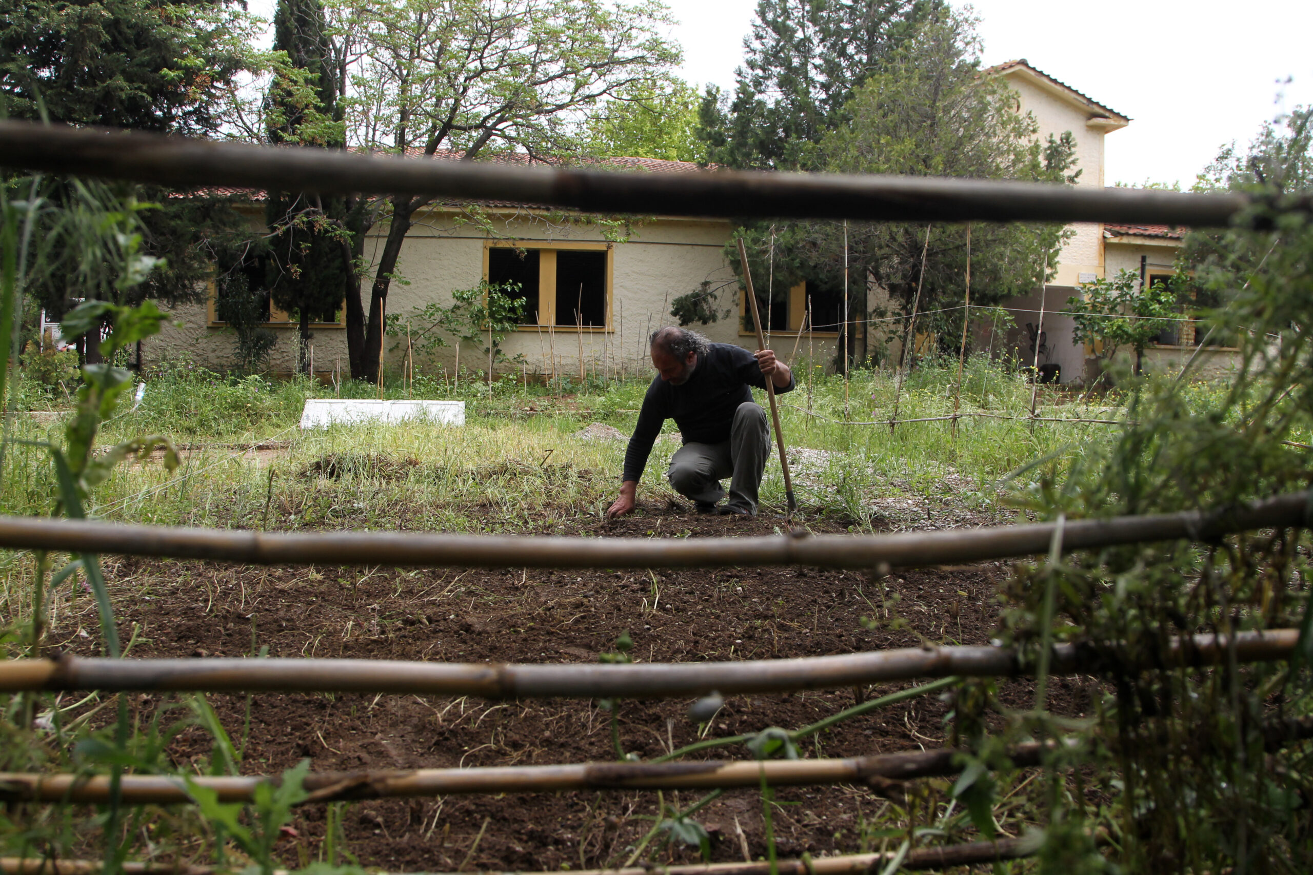 European volunteers help Greek ‘bailout gardens’