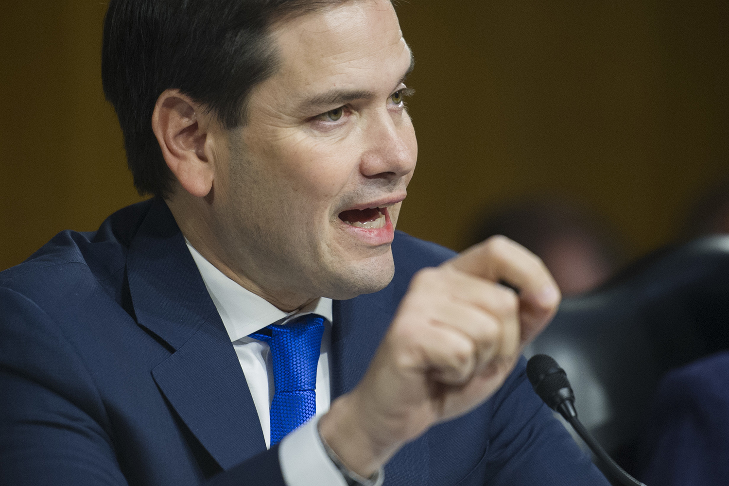 Rubio ‘very confident’ in Senate Intelligence probe into Russia’s actions
