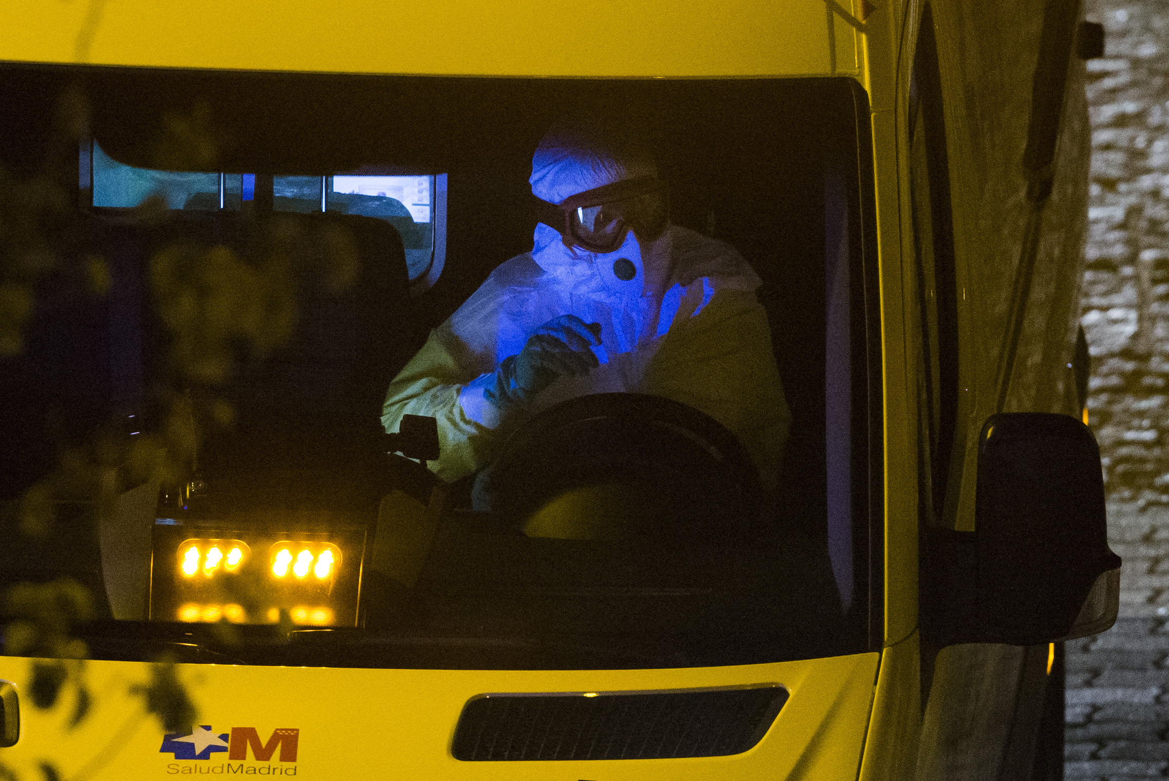 Ebola evades European defenses; pet dog must die