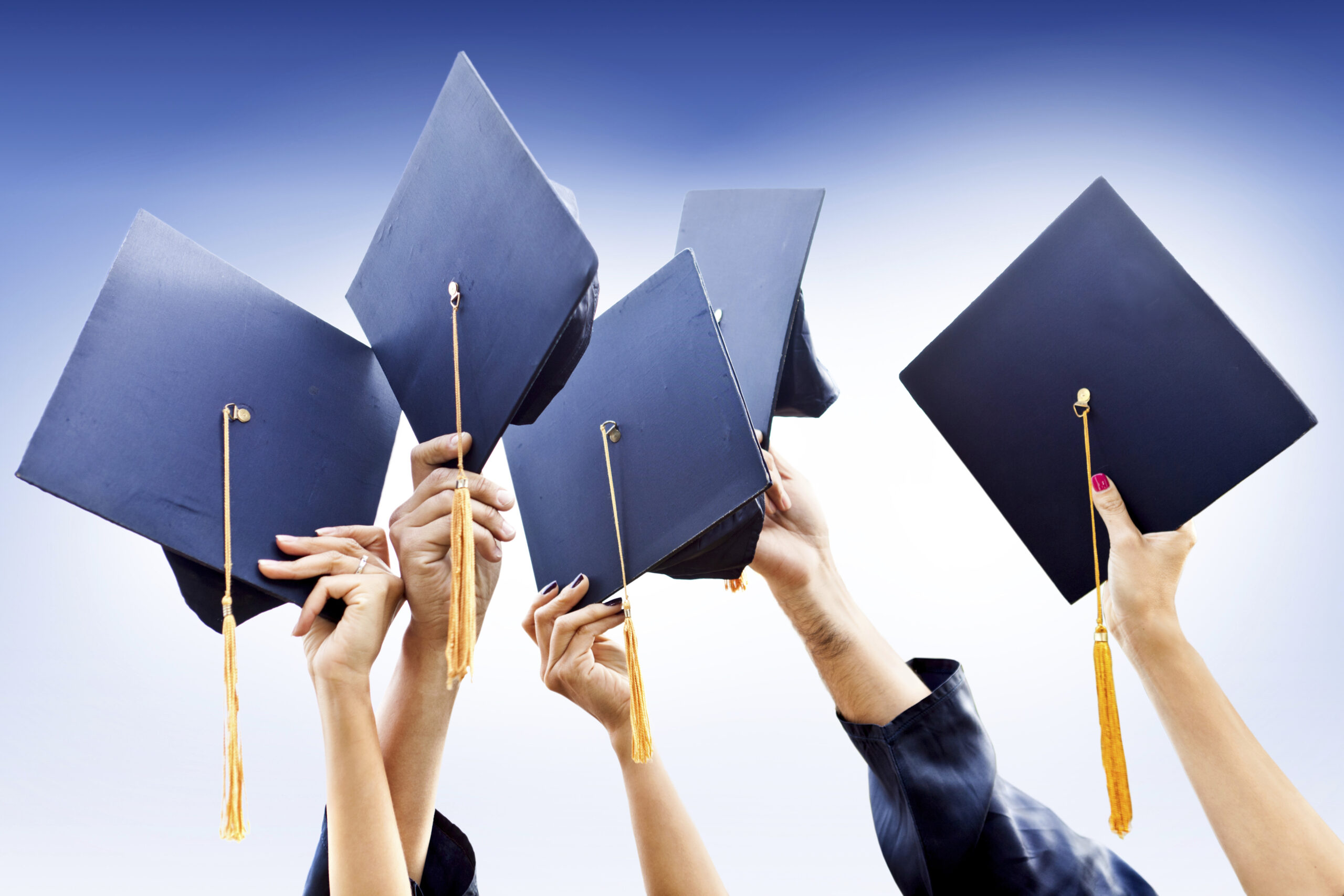 Higher education is a government-created cartel