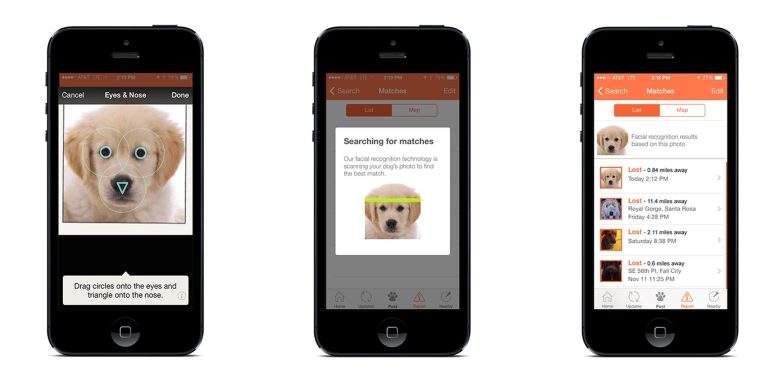 Picture it: Facial recognition to find lost dogs