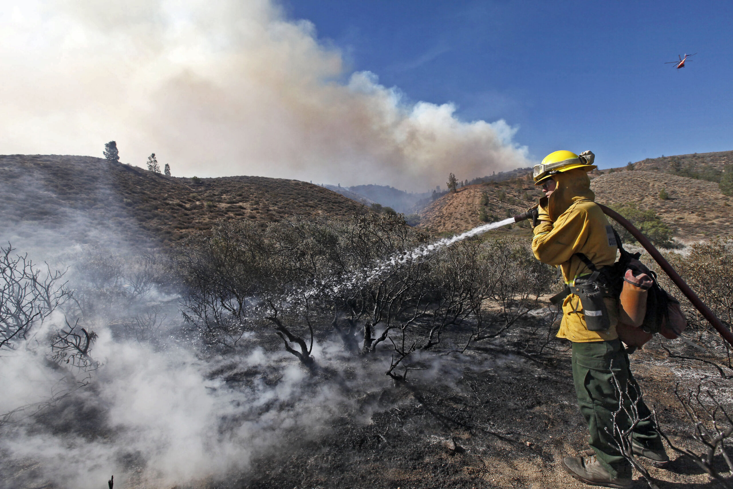 Examiner Editorial: Only you can prevent terrorists from starting forest fires
