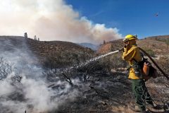 Examiner Editorial: Only you can prevent terrorists from starting forest fires