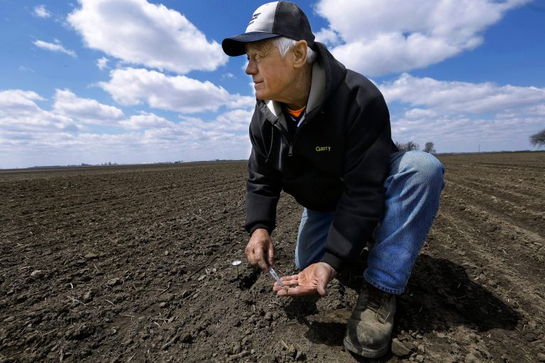 Central Illinois corn and soybean farmer Garry Niemeyer inspects the soil temperature and the sprouting of corn seeds he planted earlier as a test Tuesday, April 15, 2014, in Auburn, Ill. Farmers eager to fire up the combines and get their corn crops in the ground are being foiled by an uncooperative spring after a long winter. The U.S. Department of Agriculture expects farmers to now launch into full-scale planting at the end of this month, later than usual. (AP Photo/Seth Perlman)