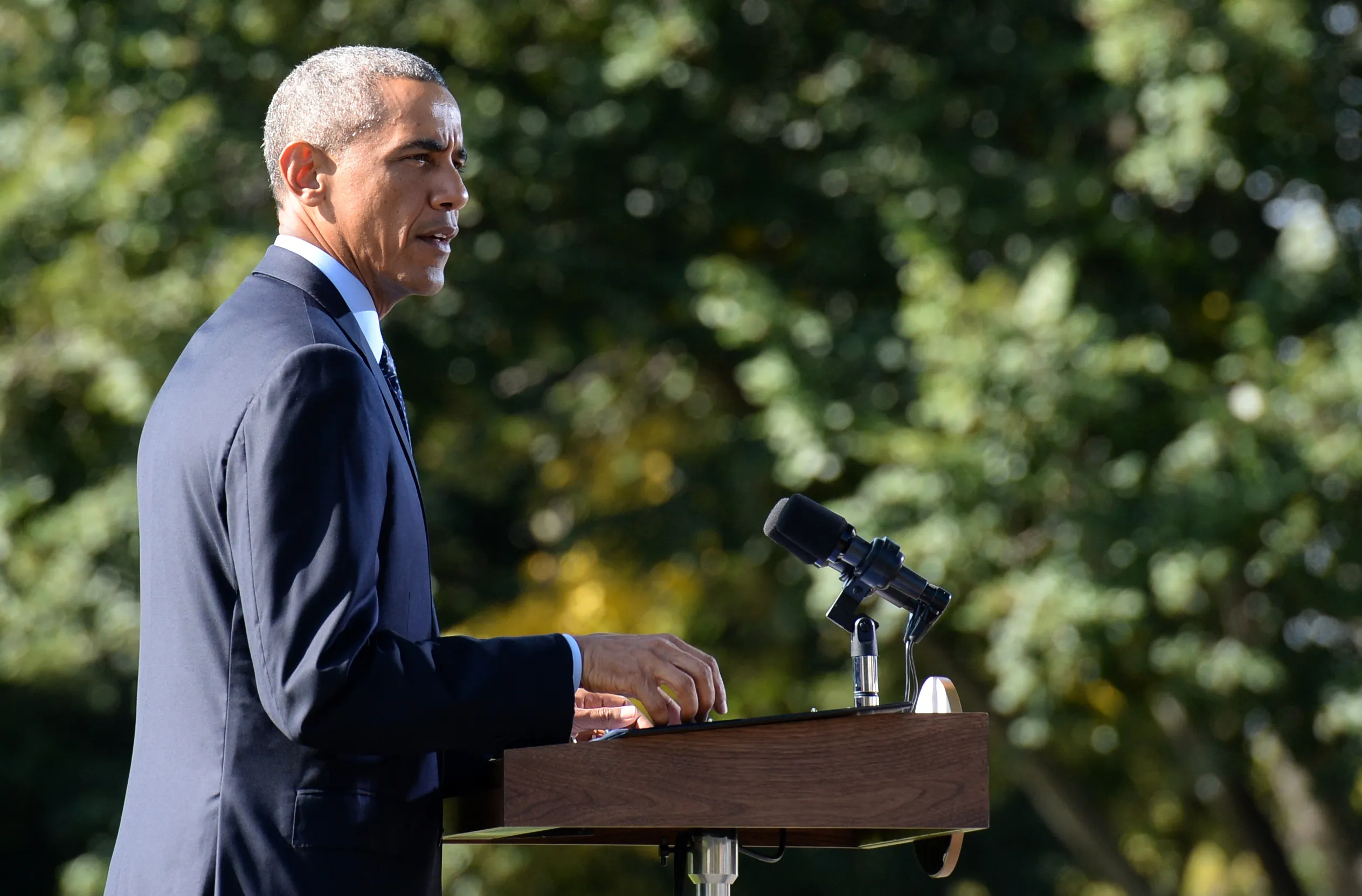 Your stories from the Washington Examiner