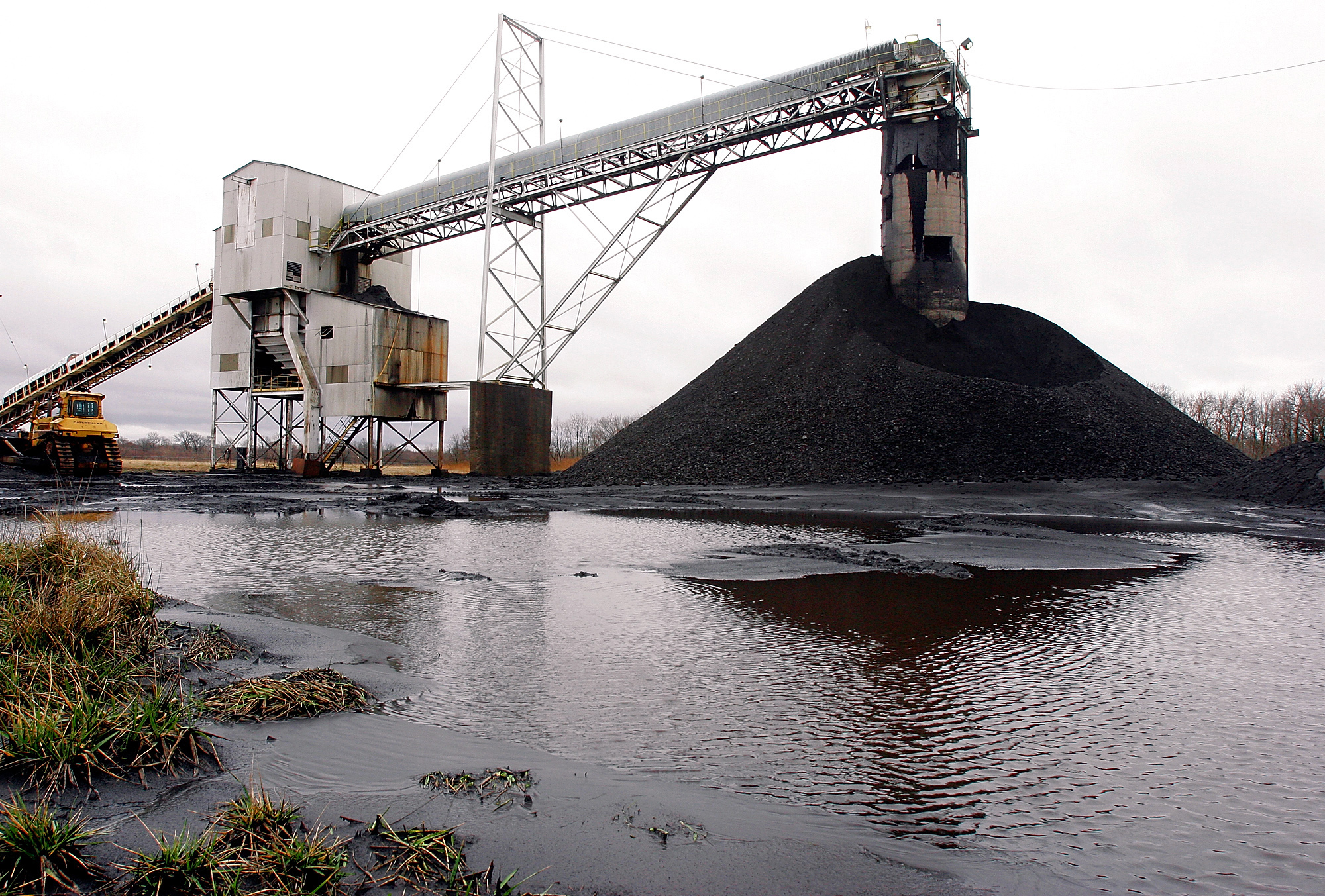 World’s largest private coal company files for bankruptcy