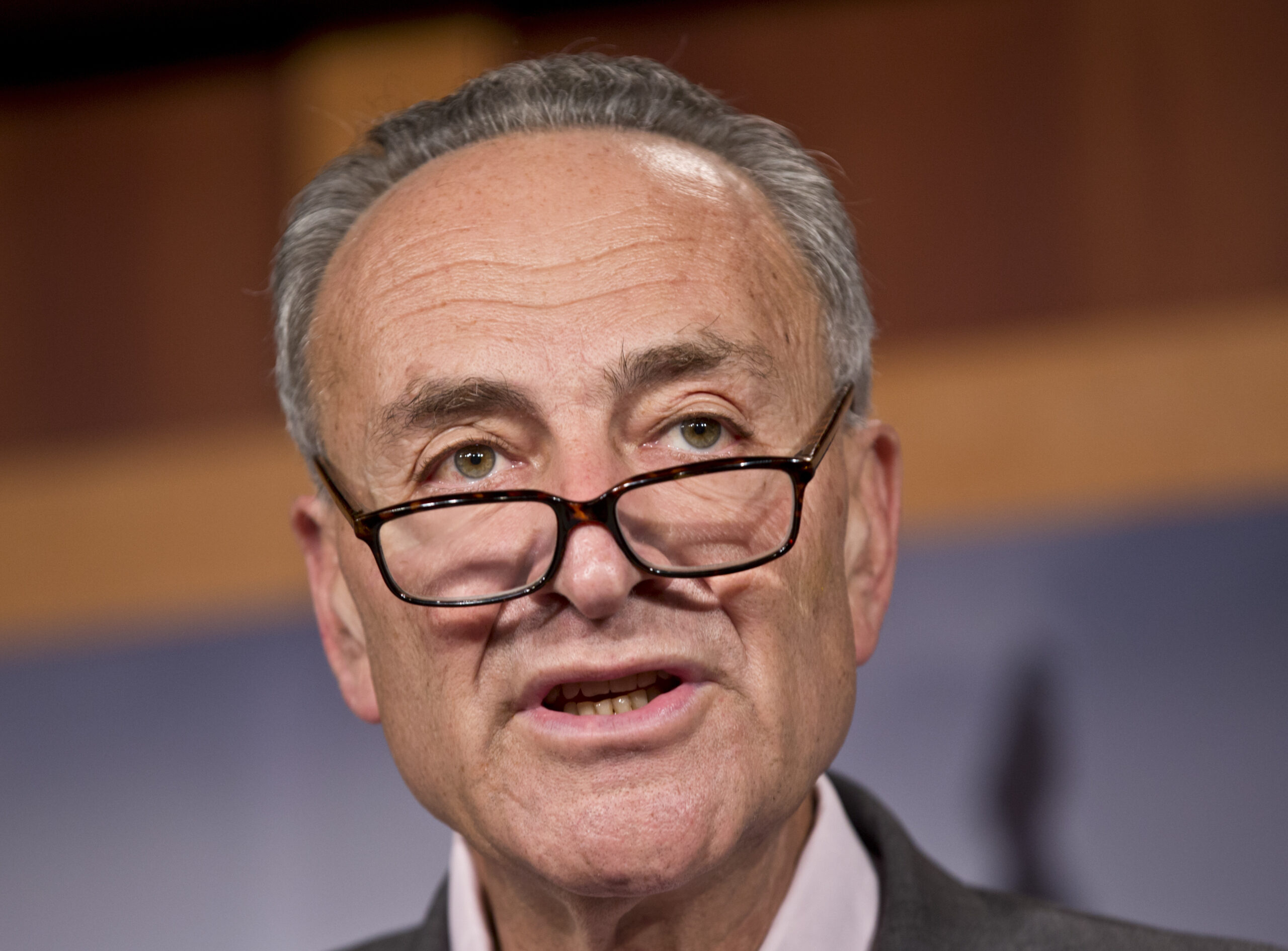 Chuck Schumer proposes letting immigration law take effect in 2017