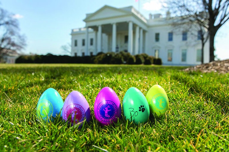 Official White House Photo by Lawrence Jackson
The 2013 White House Commemorative Easter Eggs picture on the North Lawn of the White House.