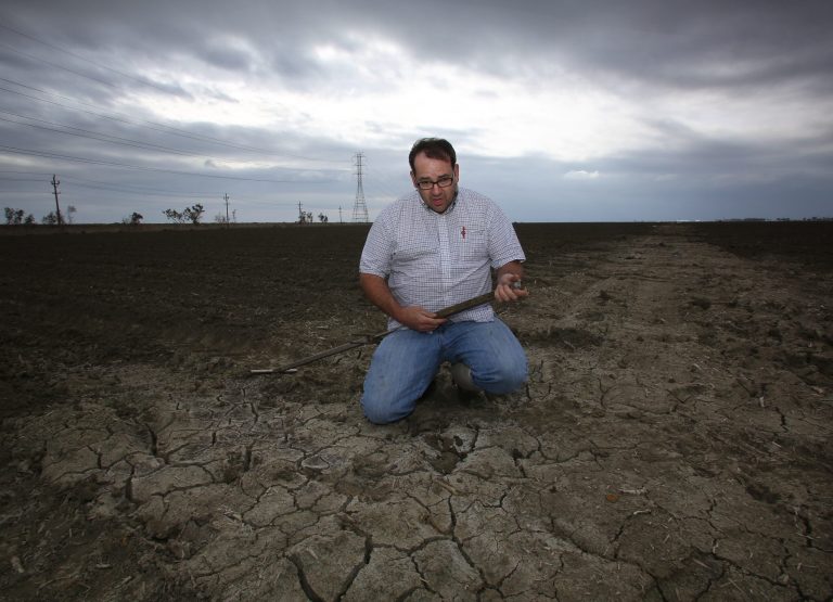 Farmer Carlton Duty Jr. checks water content in his dry tomato field as storms arrive in the area Wednesday, Feb. 26, 2014 in Lemoore, Calif. Duty said 