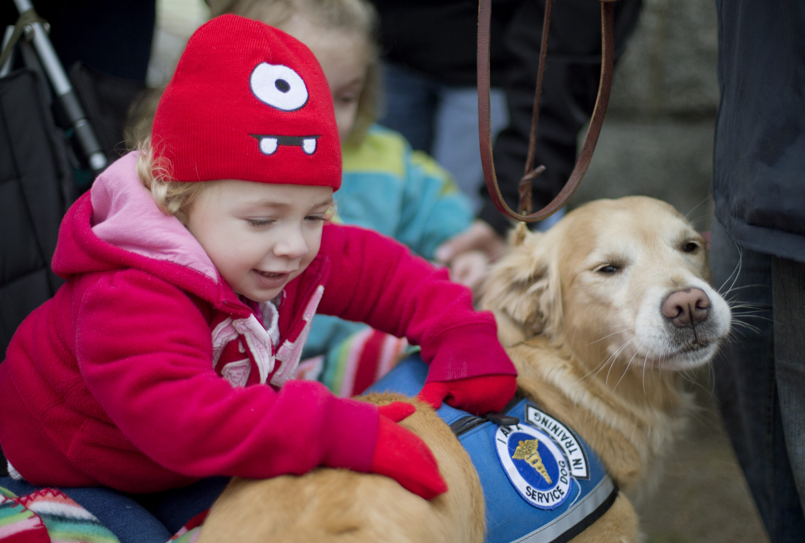 Unleash an army of therapy dogs on our failing schools