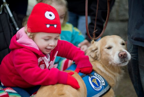 Unleash an army of therapy dogs on our failing schools