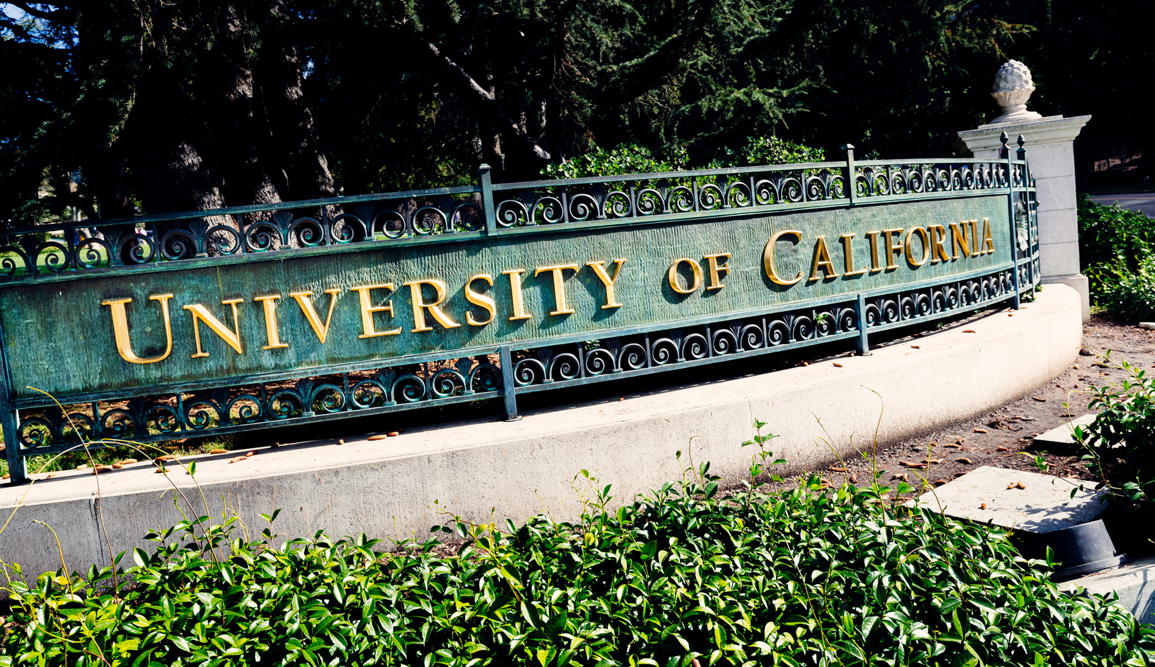 University of California system barred from considering SAT in admissions, judge rules
