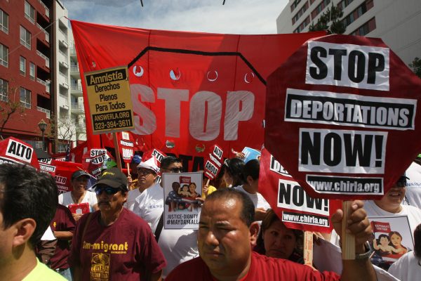 What drives left-wing immigration policy?