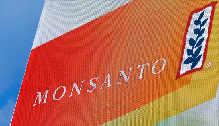 German drug and chemicals company Bayer AG has made a $66 billion offer to buy U.S.-based crops and seeds specialist Monsanto Company. (AP Photo/Seth Perlman, File)