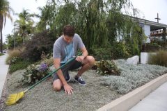 Californians tear out lawns to cope with drought