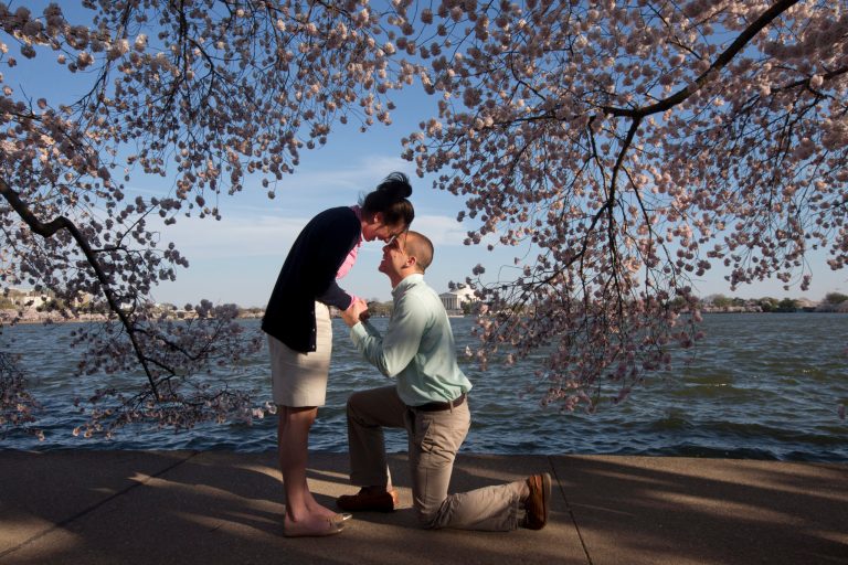 Steven Paska, 26, right, of Arlington, Va., asks his girlfriend of two years Jessica Deegan, 27, to marry him as cherry blossom trees in peak bloom line the tidal basin with the Jefferson Memorial in the background in Washington, Thursday, April 10, 2014. Deegan said yes to the surprise marriage proposal. (AP Photo/Jacquelyn Martin)