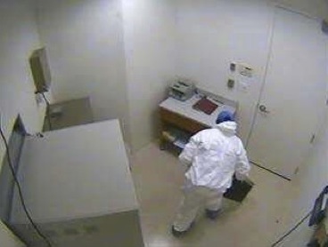 Bank robbery suspect