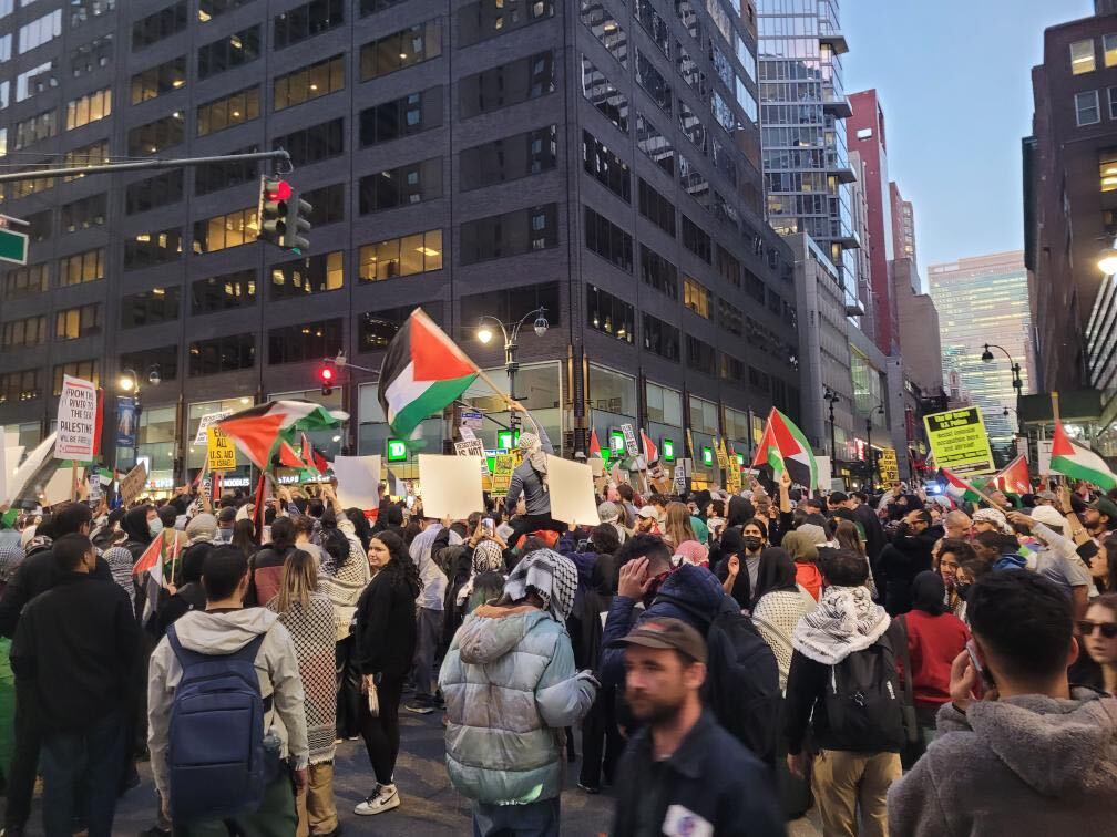Pro-Palestinian protest