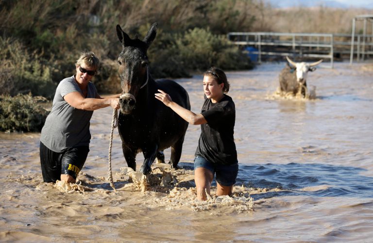 Melanie Vallet, left, and Madison Bush rescue a mule caught in floodwater Tuesday, Sept. 9, 2014, in Overton, Nev. The flood water came from heavy rain Monday that also washed out parts of Interstate 15. (AP Photo/John Locher)
