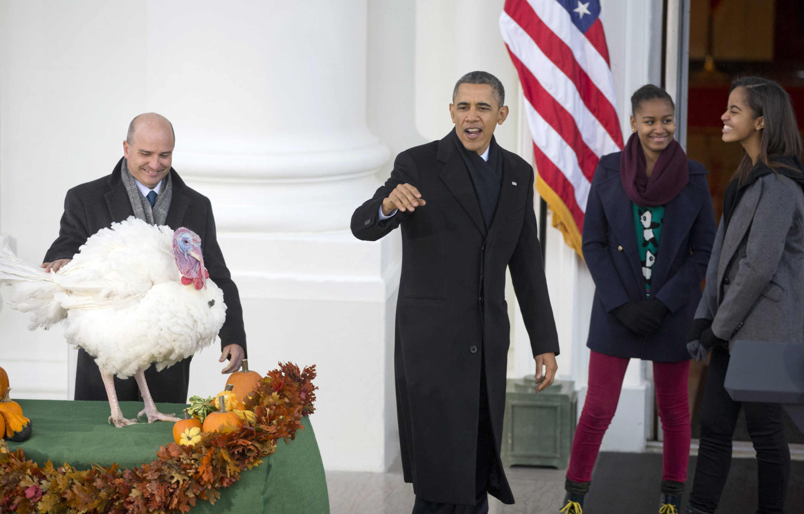 Thanksgiving by the numbers