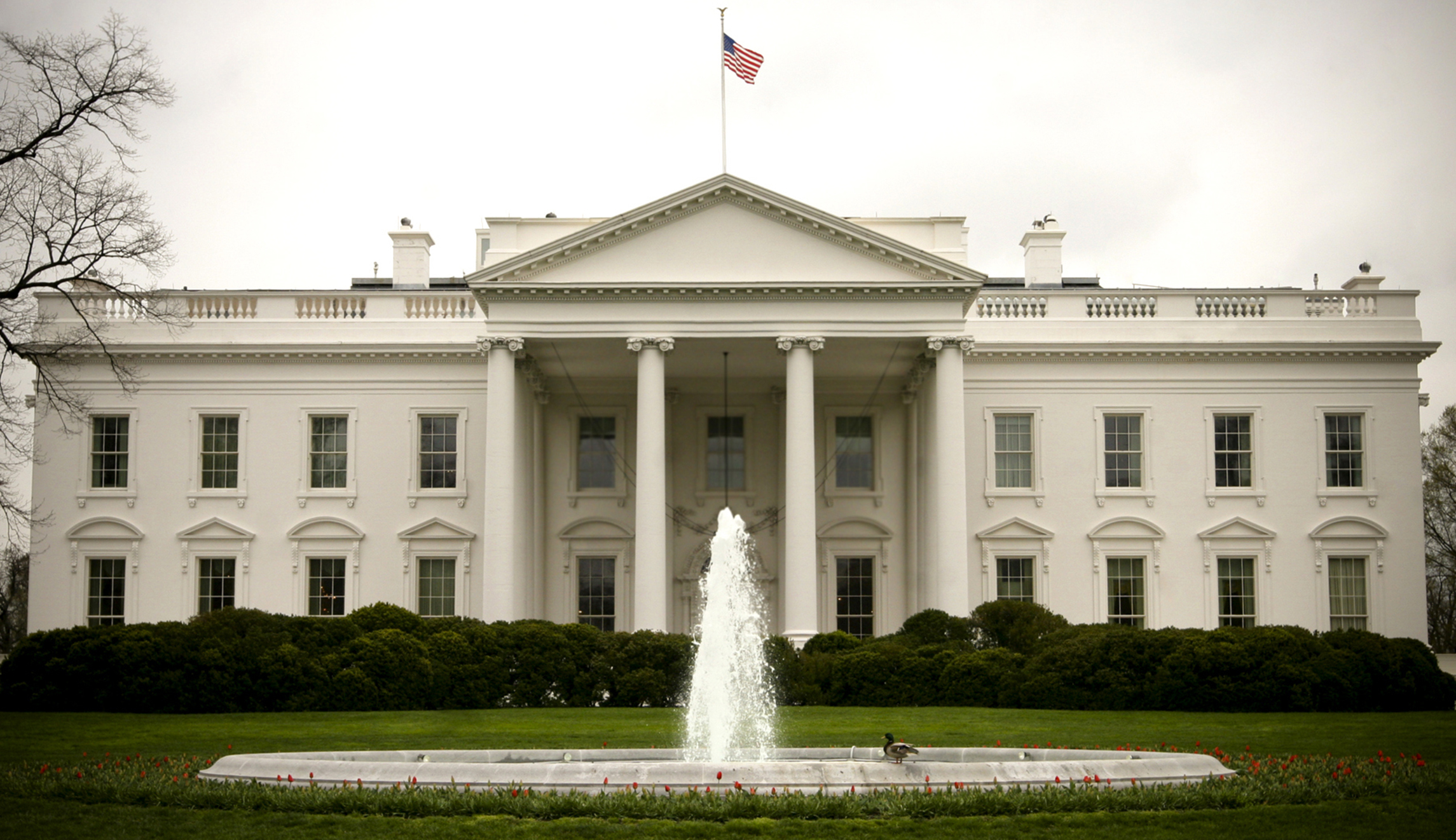 How the White House Office of American Innovation can spark innovation and technology entrepreneurship