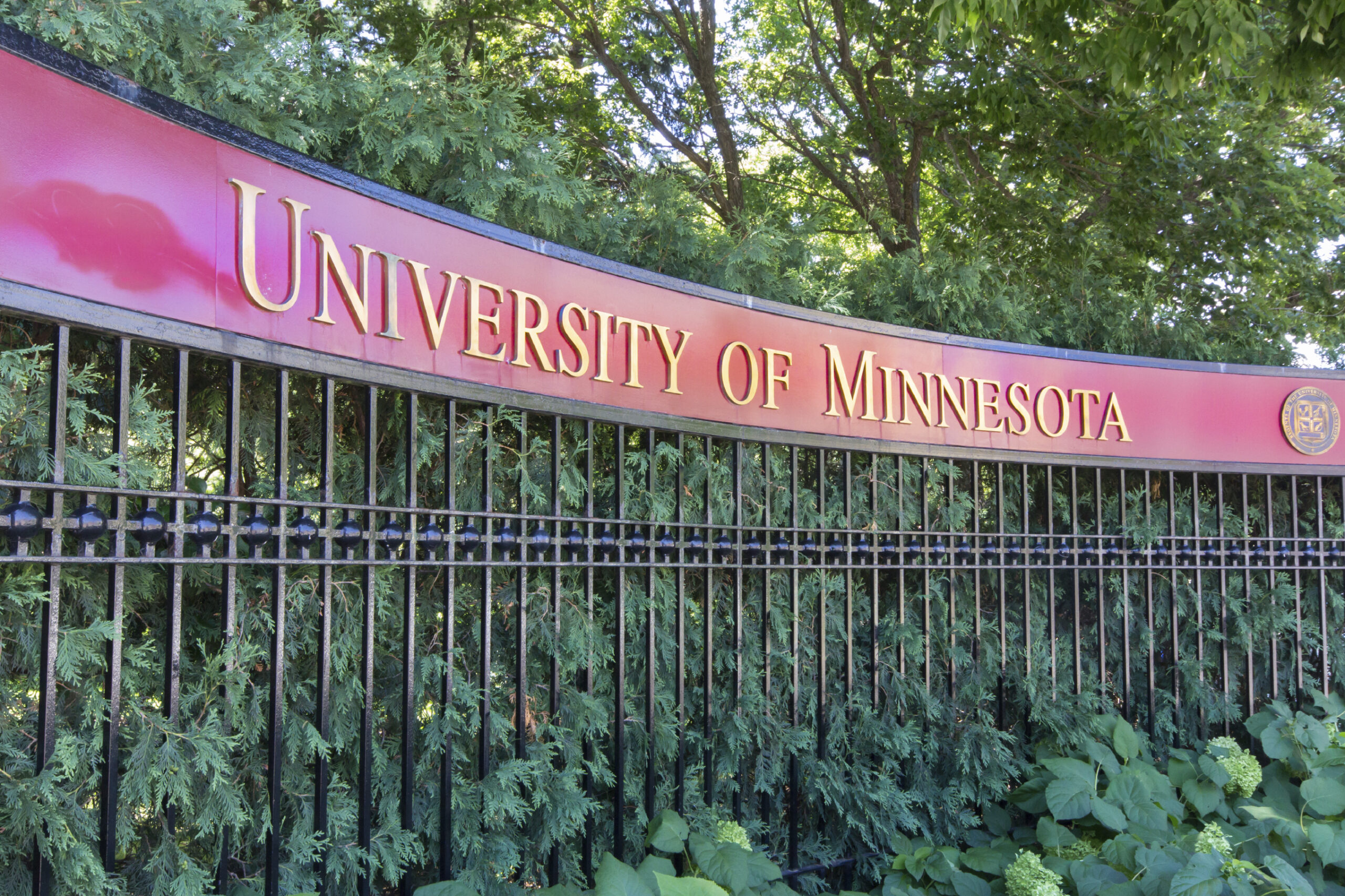 University of Minnesota delays ‘yes means yes’ policy