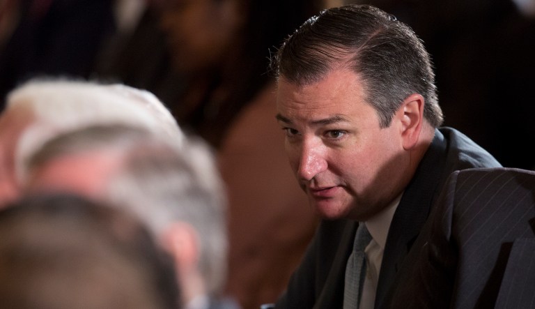 Cruz is one of four Republican senators who say they can't support the draft bill released by GOP leaders. (AP Photo/Carolyn Kaster)