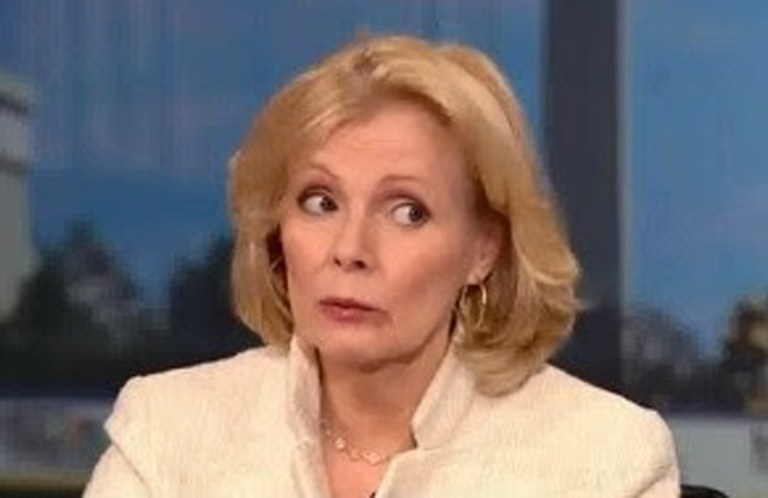 WSJ's columnist Peggy Noonan wrote that the rise of Donald Trump and Bernie Sanders is as much about a voter rebellion against the national media as it is about a rejection of the political class. (Screenshot)