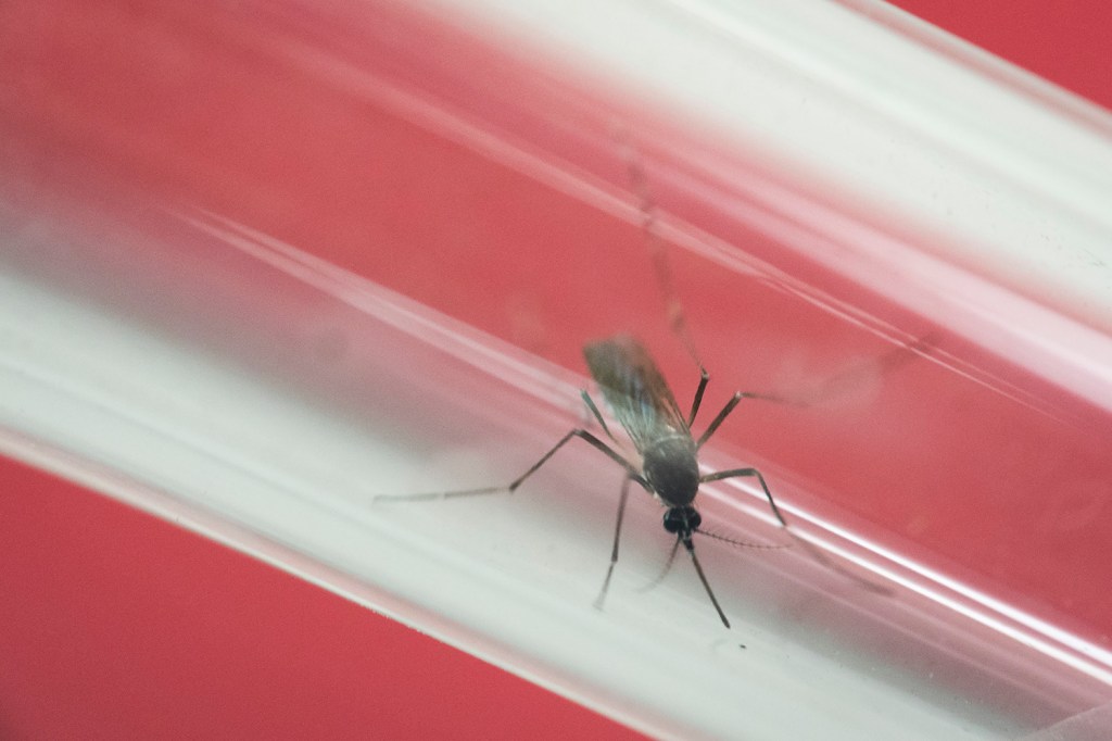 When Zika is expected to hit the U.S.