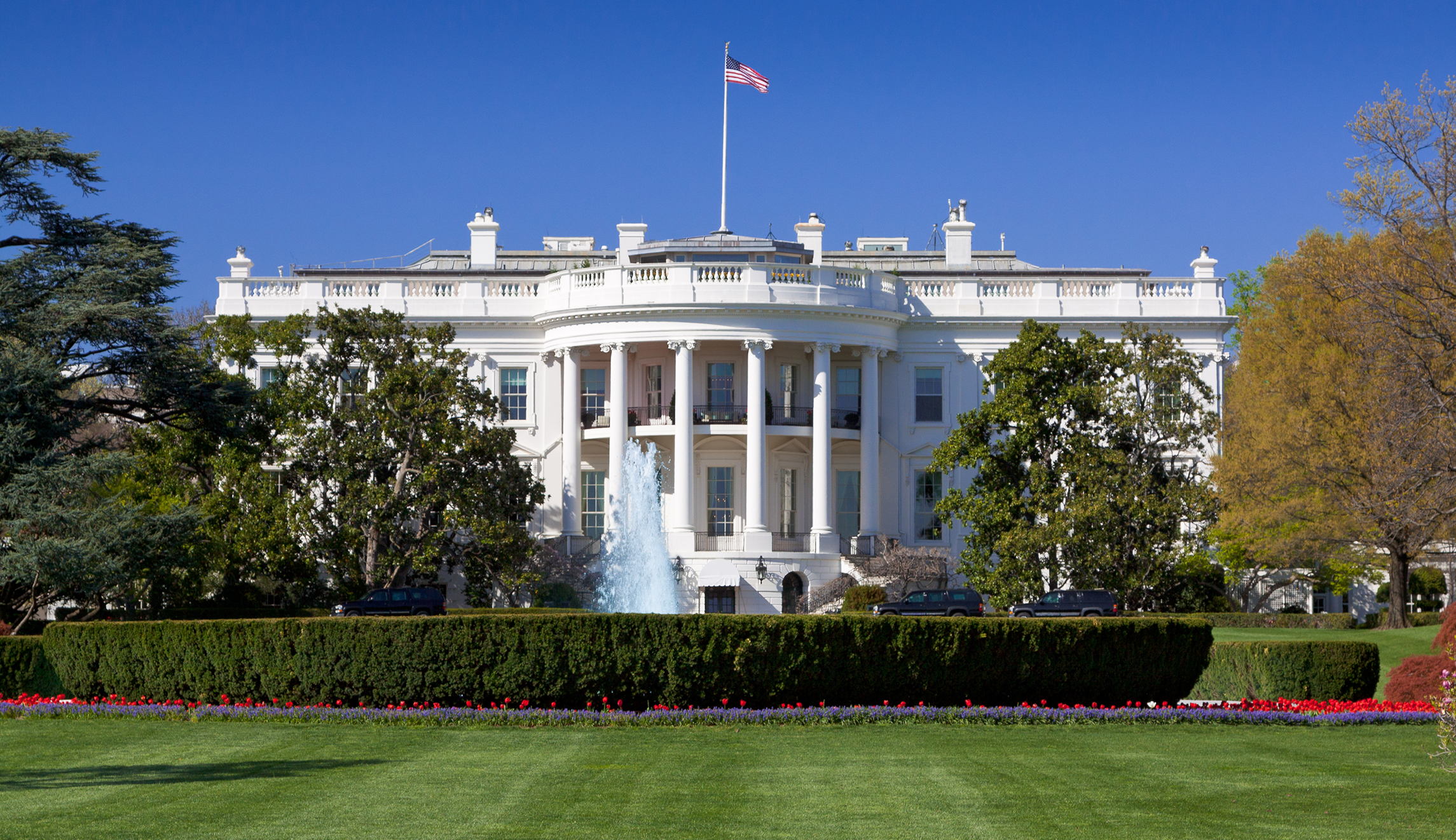 Woman who trespassed on White House five times is released from jail