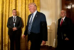 Gallup gives Trump his first job approval rating: par