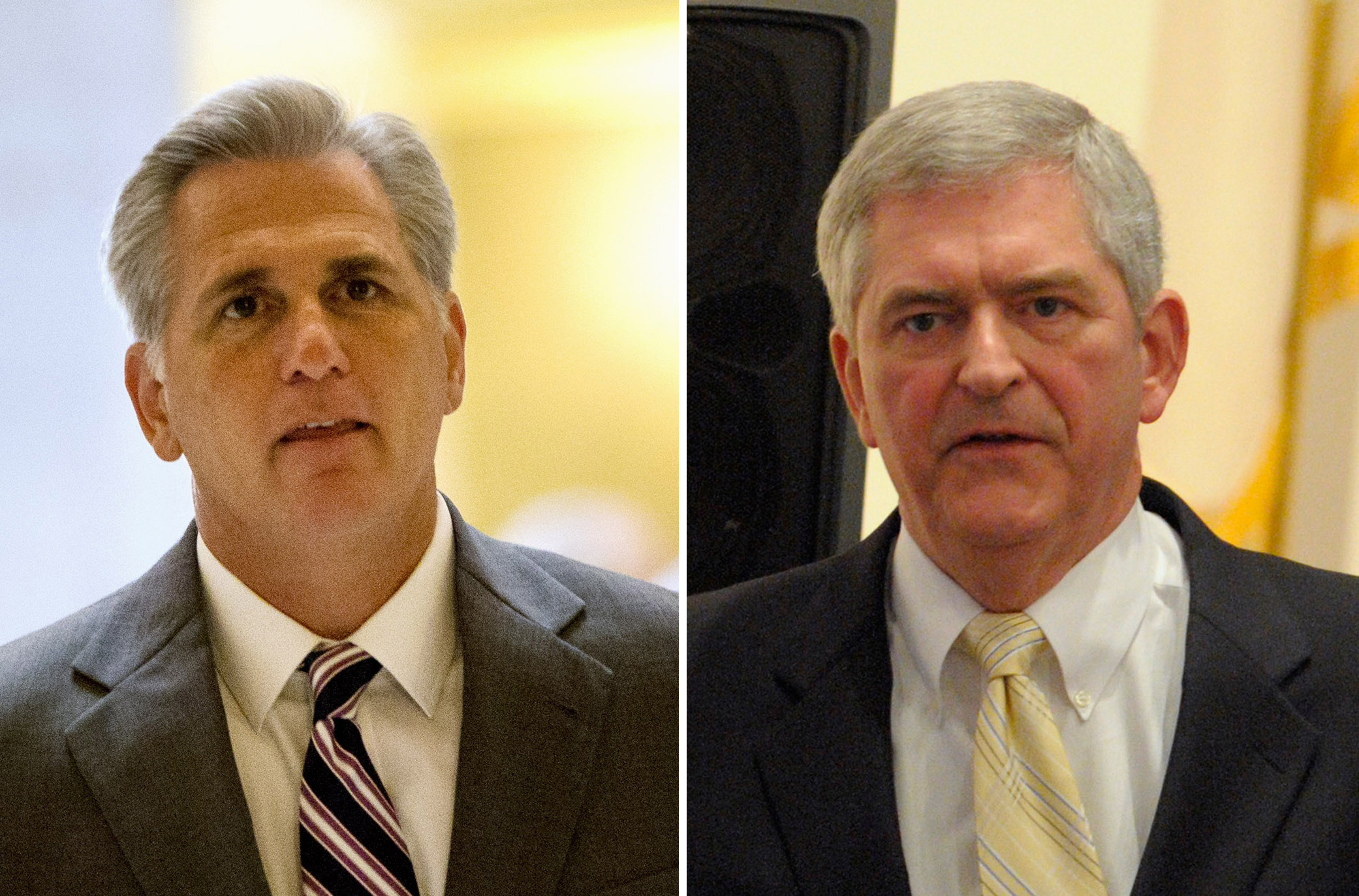 Webster will run for House Speaker against McCarthy