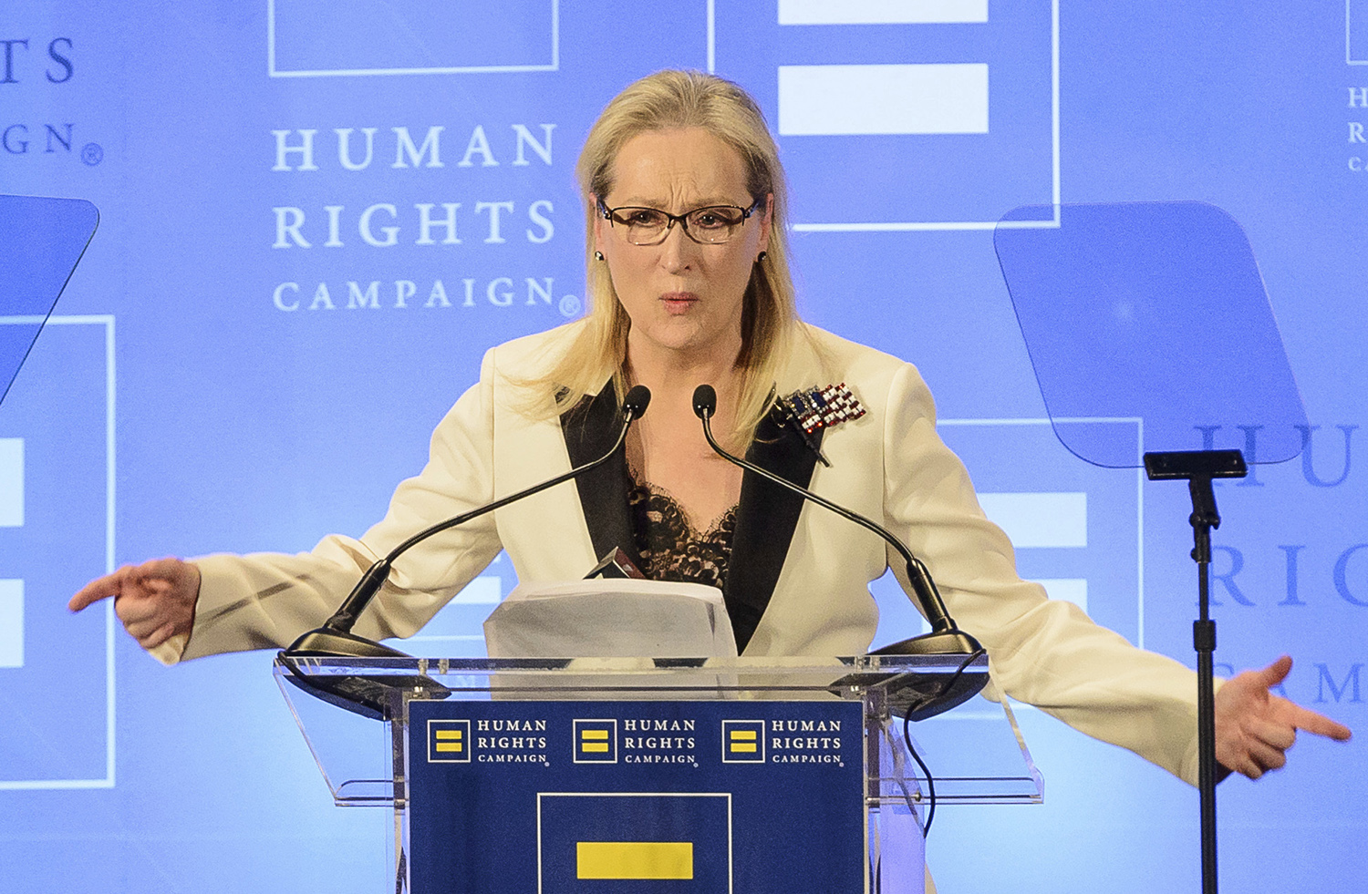 Meryl Streep: ‘Armies of brownshirts’ are after me