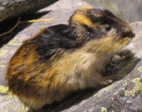 Today in Health Care Reform