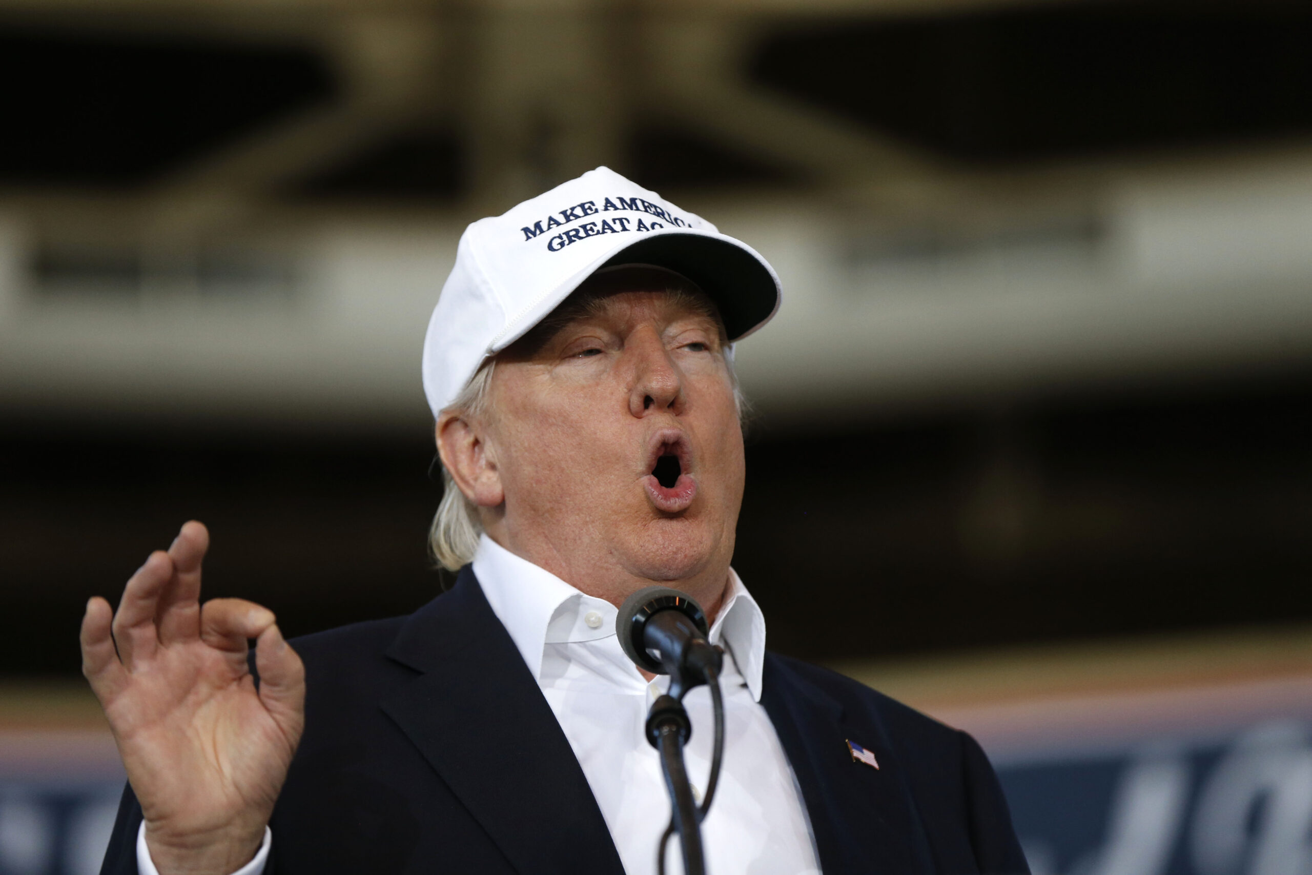 Trump vows to swiftly deport criminal illegal immigrants