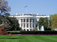 Kristol Clear: ‘The Jobs Game’ Comes to D.C.