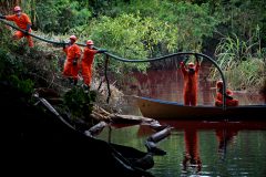 Mexico sees massive fish die-off at lake