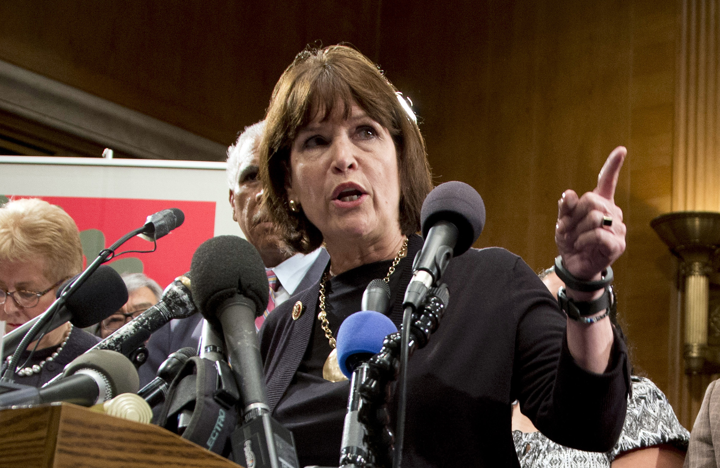 Dem slams Trump’s ‘hateful’ campaign on the House floor