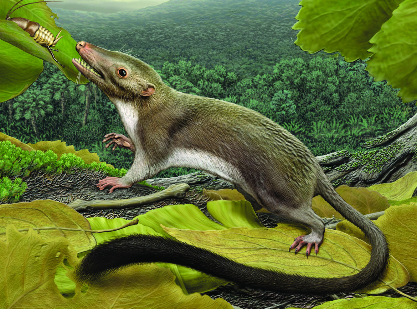 Tragedy for dinosaurs, opportunity for mammals, us