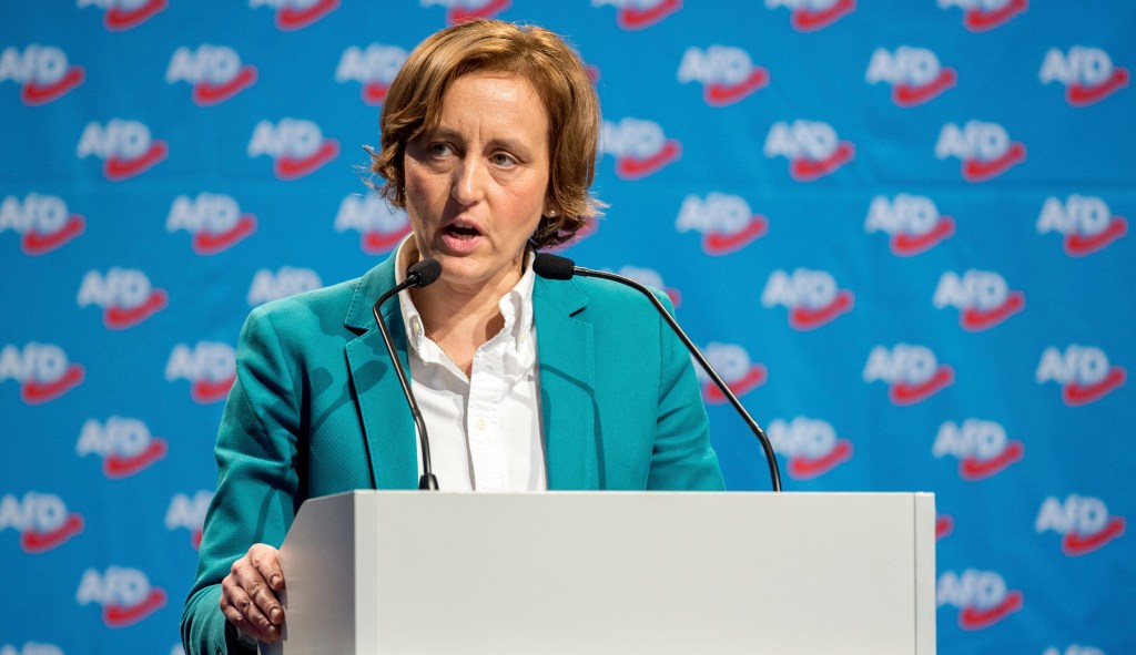 Germany’s idiotic speech laws are fuel to the far-right fire