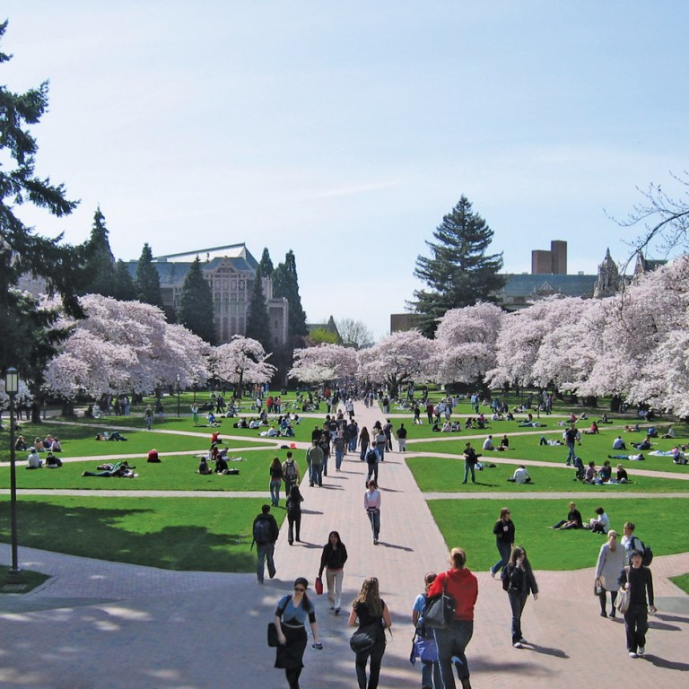 College Daze