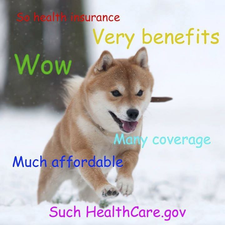 HHS made a Doge meme, and it’s what you would expect