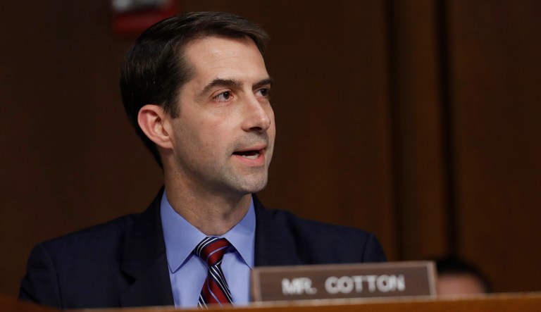 Sen. Tom Cotton, R-Ark., said he backs a new Obamacare overhaul bill being championed by Sens. Lindsey Graham, Bill Cassidy, Dean Heller, and Ron Johnson. (AP Photo/Alex Brandon)