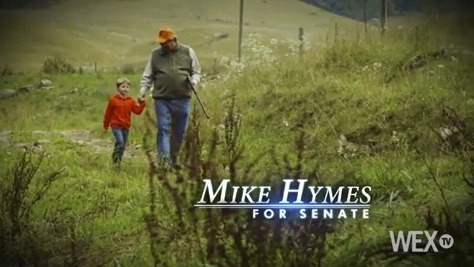 VIDEO: Virginia special election could tip state Senate balance