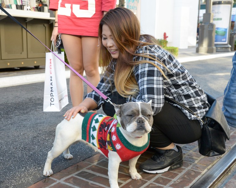 Responsible retailers and breeders want to work with activists, regulators, and state representatives to put those who prioritize profits over pet health and consumer well-being out of business or behind bars. (AP)