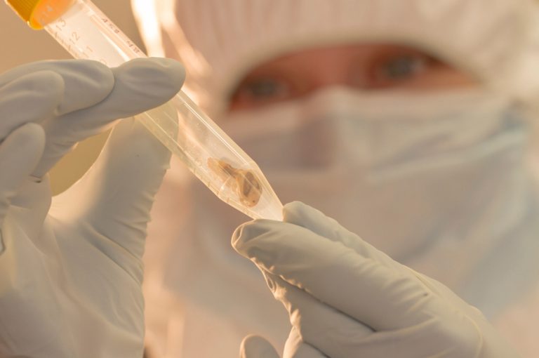 In this Jan. 17, 2014 photo provided by McMaster University, graduate biology student Jennifer Klunk examines a bone sample at McMaster University's Ancient DNA Centre in Hamilton, Canada. Scientists say two of the deadliest pandemics in history were caused by strains of the same plague and warn new versions of the bacteria could spark future outbreaks. Researchers found tiny bits of DNA in the teeth of two German victims killed by the Justinian plague about 1,500 years ago. With those fragments, they reconstructed the genome of the oldest bacteria known. They concluded the Justinian plague was caused by a strain of Yersinia pestis, the same pathogen responsible for the Black Death that struck medieval Europe. The study was published online Tuesday, Jan. 28, 2014 in the journal, Lancet Infectious Diseases.(AP Photo/McMaster University)