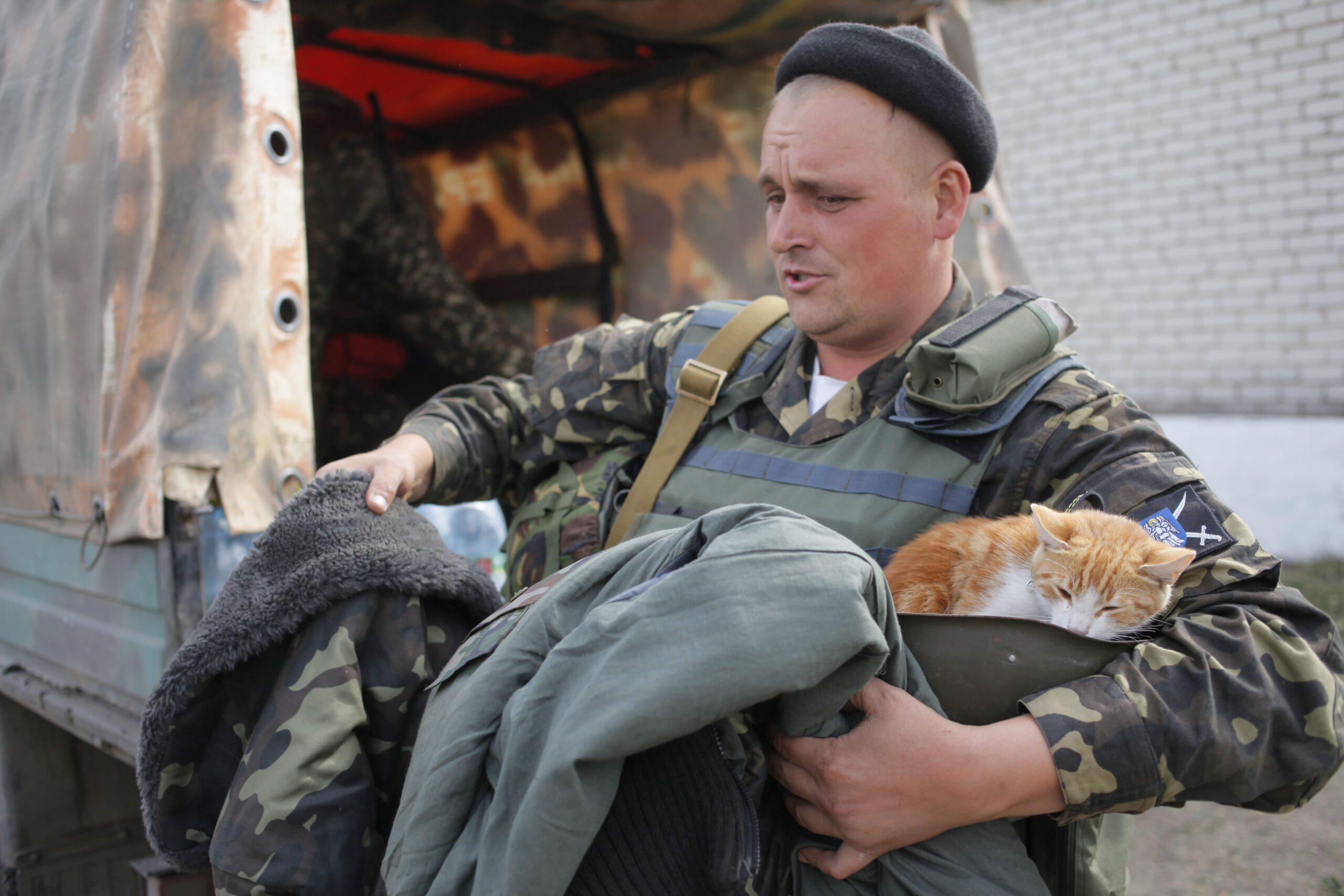 Ukraine: Cease-fire being upheld on both sides