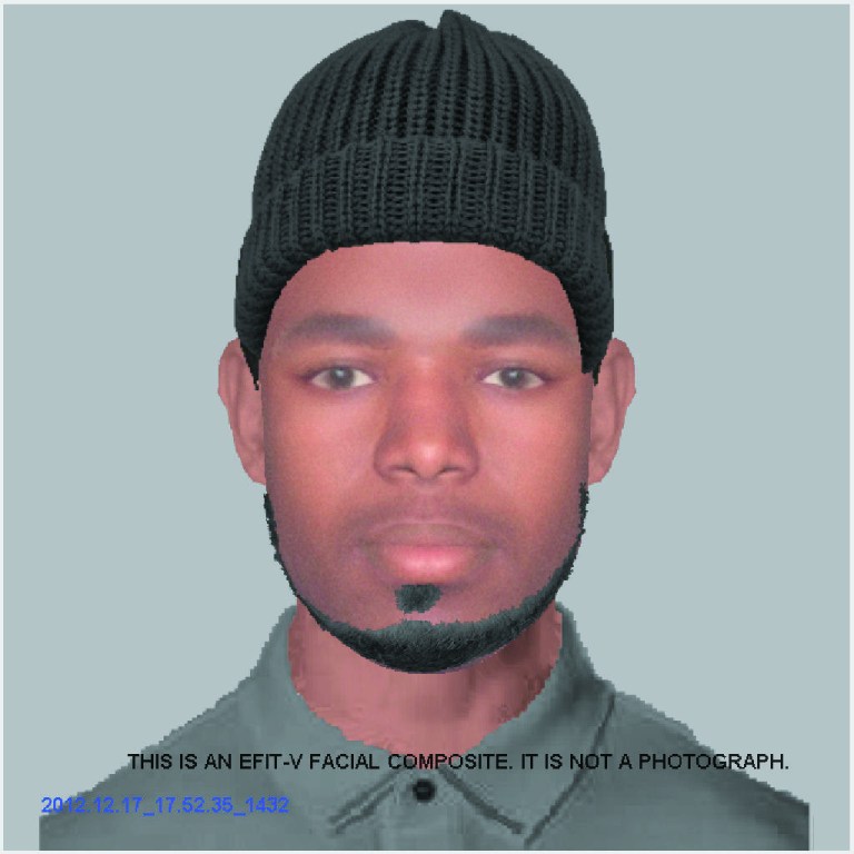 Fake cable worker sexually assaults Virginia teen