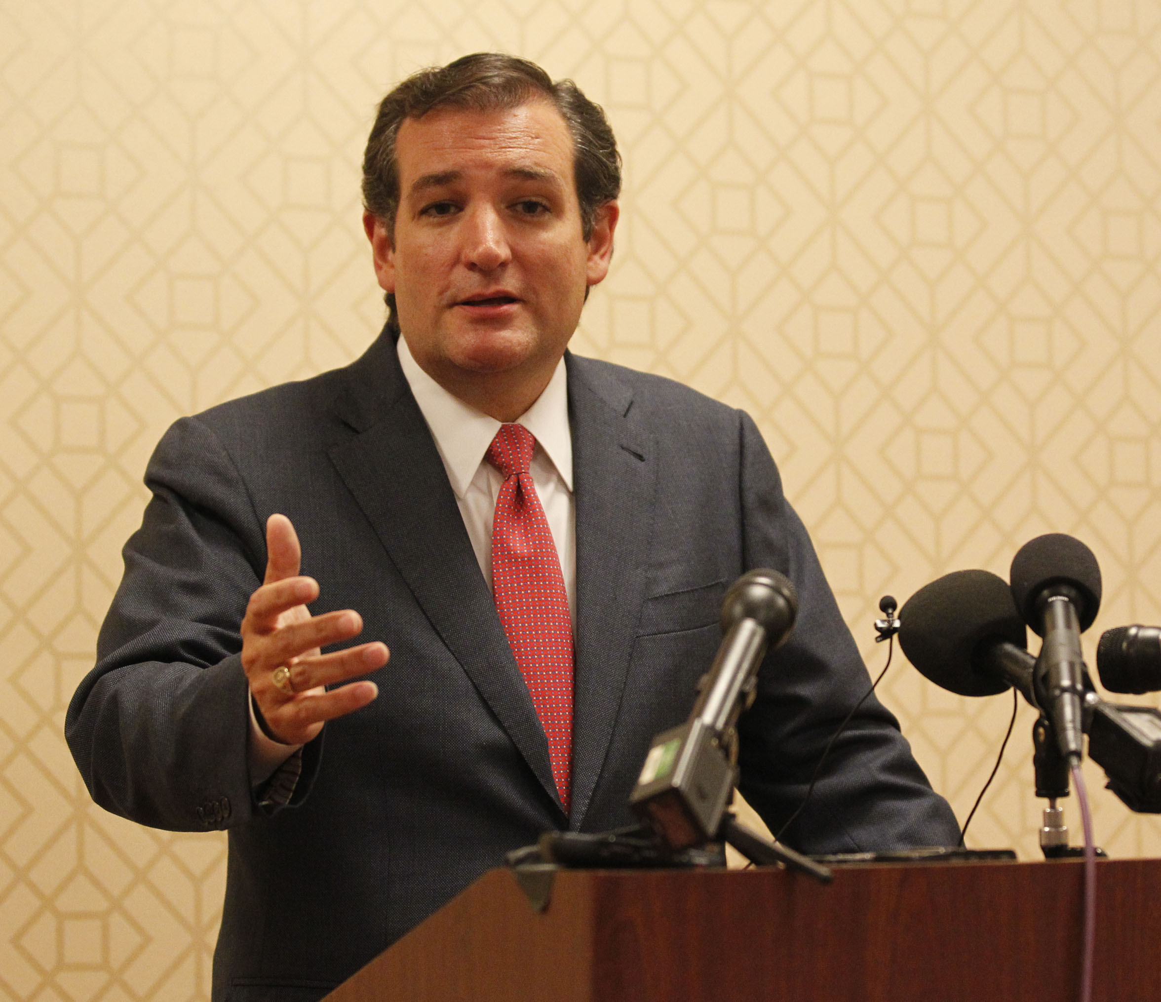 Ted Cruz: ‘Abstract norms’ should not lead US to war